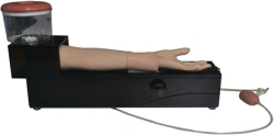 Model for IV injection, S3A