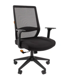 Armchair model CHAIRMAN 555LT