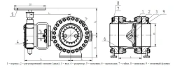 Regulating disc gate ZR