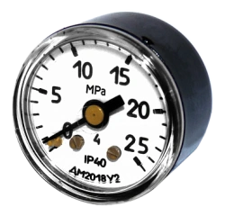 Indicating pressure gauges DM2018