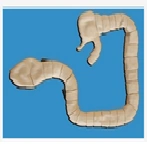 Model for the examination of the large intestine, art. no. LV42
