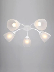 General purpose fixed luminaire V3761/5PL