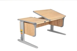 Universal transformable table of model SUT.42