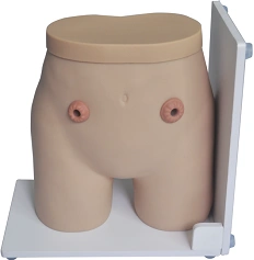 Stoma care model, 38