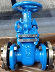 Steel wedge gate valve with sliding spindle and handwheel RN 2,5 MPa DN 50