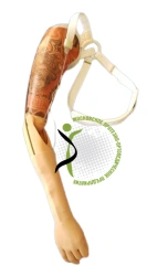 Cosmetic shoulder prosthesis PR4-KVO