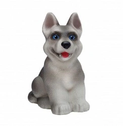 Husky puppy