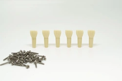 Set of teeth for children's dental model, 24 pcs. PD-NZ DM 24