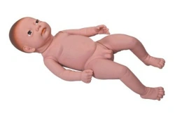 Y4 newborn model without umbilical cord
