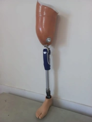 Bathing hip prosthesis PN6-K.1