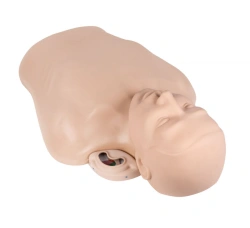Resuscitation phantom (torso) with controller ZIK-22