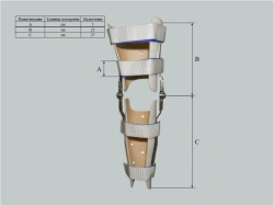 Knee joint apparatus