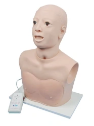 Electronic model for nasal cavity examination CS6272