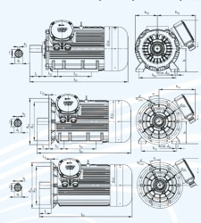Explosion-proof asynchronous electric motors of series DV 250, power not more than 75 kW