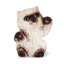 Kitten Goodwin