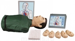 Spring-mechanical simulator for cardiopulmonary and cerebral resuscitation techniques with indication of correctness of actions