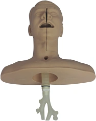 Model for intubation and sanitation, Art. No. NS6027 / 60