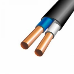 Power cable VVG-Png(A)-LS 2x10