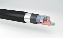 Power cables, with aluminium conductors, with plastic insulation for rated voltage up to 1 kV AVKSHVng(A)-HL grade
