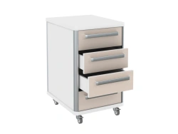 Storage cabinet for laboratory instruments and consumables TP 1-4 from the set of furniture for clinical diagnostic laboratories