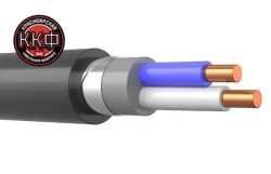 Cable VBSHV ng(A)-LS 2 x 6 kr (0,66) GOST LLC "KKF" GOST