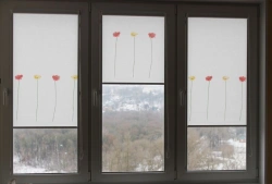 Roller blinds IMPERIA JALUZY
