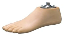 Foot on low heel 9A 006 male type Sach 25