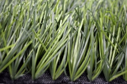 Grass 65/12 artificial grass surface