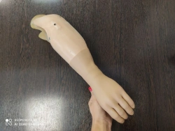 Cosmetic forearm prosthesis