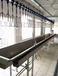 Chute for giblets disassembly