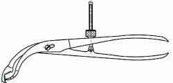 Bone holder, item 330.014