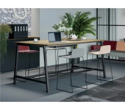 Table 224 trade mark Home Evolution