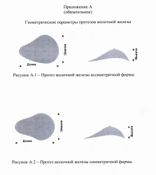 Silicone gel breast prosthesis: model SPMJ-A, SPMJ-C, size range 00-11.