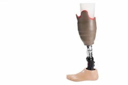 Tibial prosthesis for bathing PH3-87K