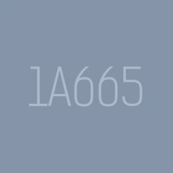 Overhaul of heavy lathe 1?665