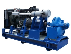 Diesel pumping unit model DNU-1100/53