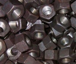 Nut for terminal and embedded bolts of railway rail fastenings GOST 16018-2014