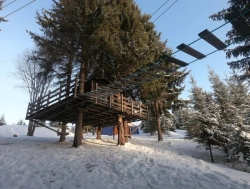 Tree house