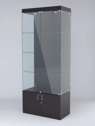 Museum display cabinet
