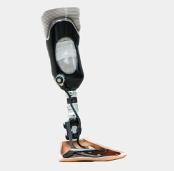 Modular tibia prosthesis, including underdevelopment, with microprocessor-controlled foot module PN-GM