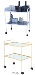 Technological trolley. Model: TT-1-M, TT-2-M, TT-3-M.