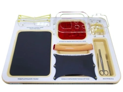 Simulator "Practical skills training in veterinary surgery" UP5736