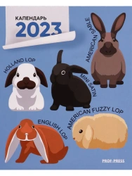 Magnetic calendars