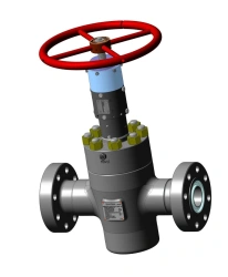 Gate gate valve ZSh