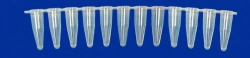 Non-sterile polymeric tube for in vitro diagnostics according to TU 32.50.50-021-54287340-2022: Cone microtube PM3-7-21-PP