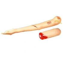 Model for stopping bleeding from the brachial artery, G105-2