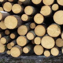 Aspen Balances for Precision Weighing