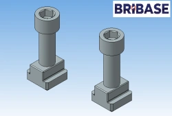 BB.ZP.040.10.012 Set of two M10 screws and 12 mm breadcrumbs BriBase