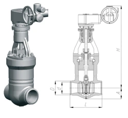 Gate valve 1120-100-EM