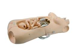 Childbirth Simulator, GP6643